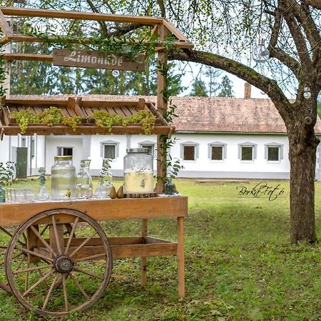 Green Paradise Vendeg Es Rendezvenyhaz Διαμέρισμα Szentpeterfa Εξωτερικό φωτογραφία