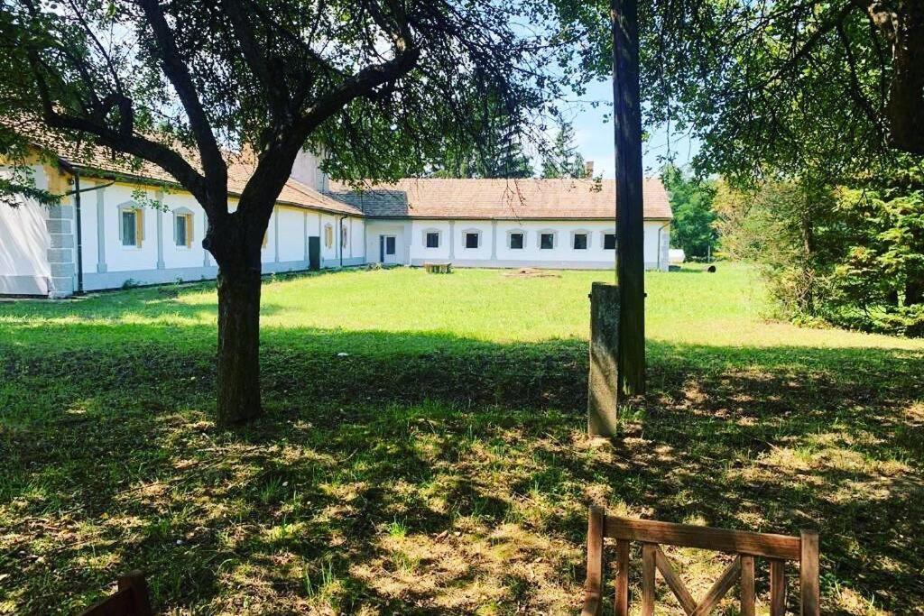 Green Paradise Vendeg Es Rendezvenyhaz Διαμέρισμα Szentpeterfa Εξωτερικό φωτογραφία